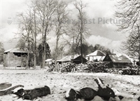 PP_WSL_L000562 copy.jpg