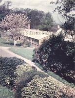 PP_WSL_N058763 copy.jpg