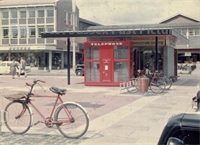 PP_WSL_N058767 copy.jpg