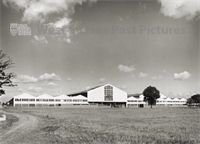 PP_WSL_N058779 copy.jpg