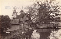 PP_WSL_P002014 copy.jpg