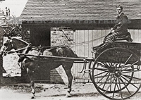 PP_WSL_P003831 copy.jpg