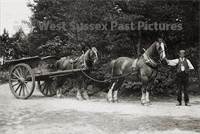 PP_WSL_P003895 copy.jpg