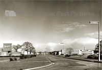 PP_WSL_RBP5137 copy.jpg