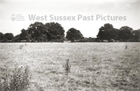 PP_WSL_RBP5713 copy.jpg