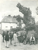 PP_AMCPM_P1030 copy.jpg