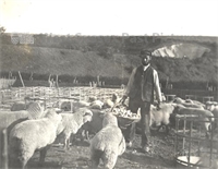 PP_AMCPM_P710 copy.jpg