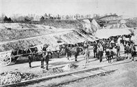 PP_AMCPM_P762 copy.jpg