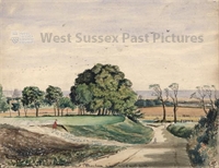 PP_SHORM_94.2404 copy.jpg