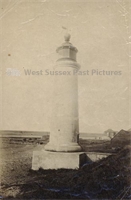 PP_SHORM_95.2611.1 copy.jpg