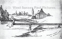 PP_WSL_E000014 copy.jpg