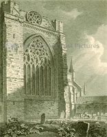 PP_WSL_E000070 copy.jpg