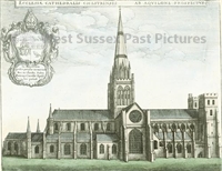 PP_WSL_E000071 copy.jpg