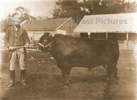 PP_WSL_L000389 copy.jpg