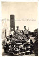 PP_WSL_L000995 copy.jpg