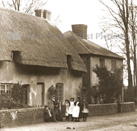 PP_WSL_N057950 copy.jpg