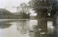 PP_WSL_NG000006 copy.jpg