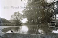 PP_WSL_NG000007 copy.jpg