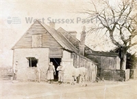 PP_WSL_P002633 copy.jpg