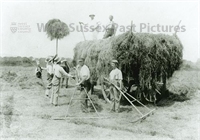 PP_WSL_P002790 copy.jpg