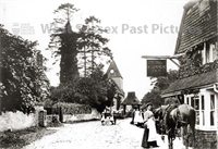 PP_WSL_P003547 copy.jpg