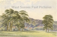 PP_WSL_WA000379 copy.jpg