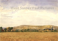 PP_WSL_WA000414 copy.jpg