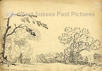 PP_WSL_WA000423 copy.jpg