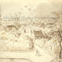 PP_WSL_WA000452 copy.jpg