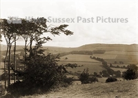 PP_WSL_WGNG000063 copy.jpg