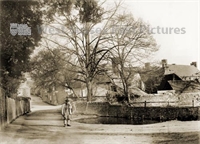 PP_WSL_WGNG000222 crop copy.jpg